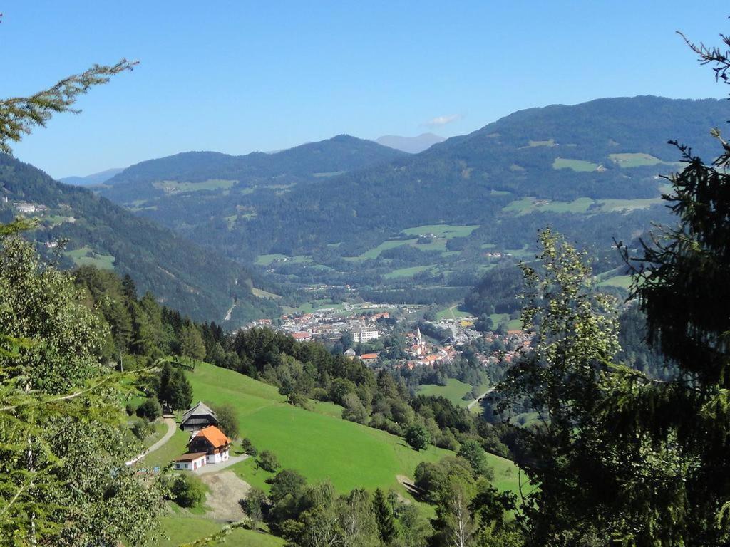 Die Petzl Huette - Kreischbergblick Kaindorf  Eksteriør bilde